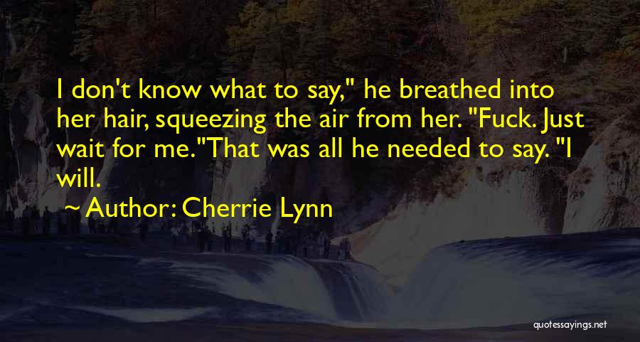 Wait For You J Lynn Quotes By Cherrie Lynn
