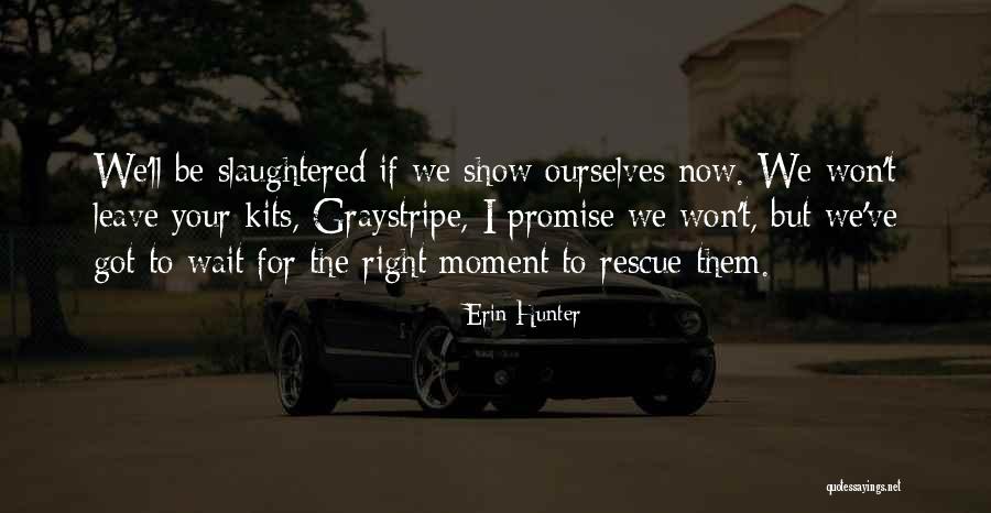 Wait For Your Moment Quotes By Erin Hunter Wait For Your Moment Quotes By Erin Hunter
