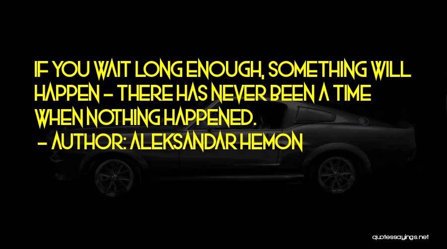 Wait Long Enough Quotes By Aleksandar Hemon