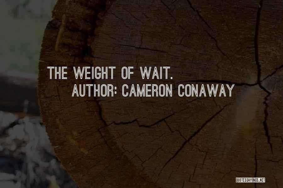 Wait Patience Quotes By Cameron Conaway