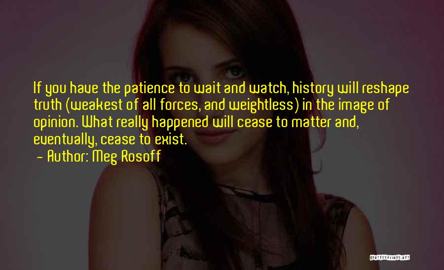 Wait Patience Quotes By Meg Rosoff