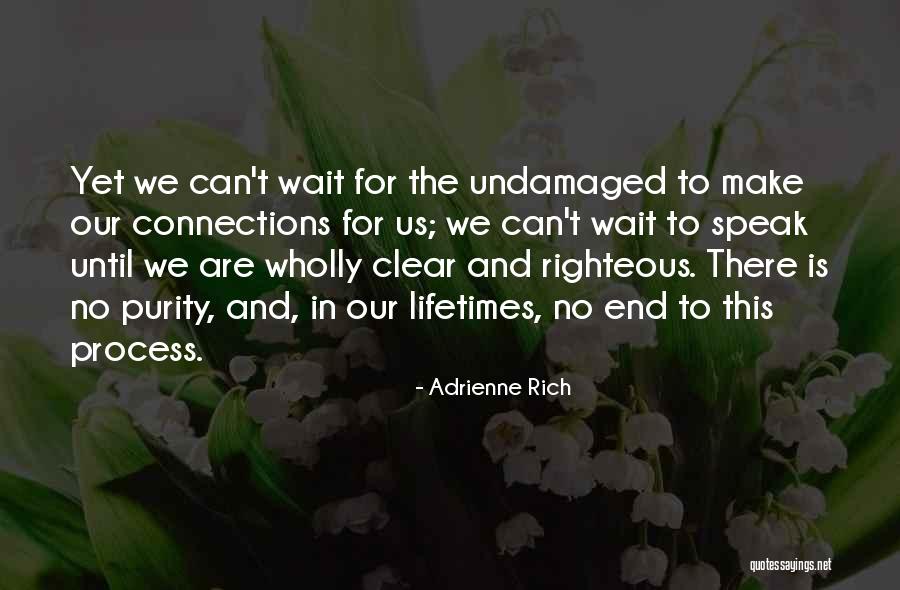 Wait The Process Quotes By Adrienne Rich Wait The Process Quotes By Adrienne Rich