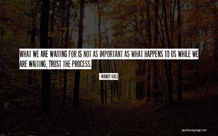 Wait The Process Quotes By Mandy Hale Wait The Process Quotes By Mandy Hale