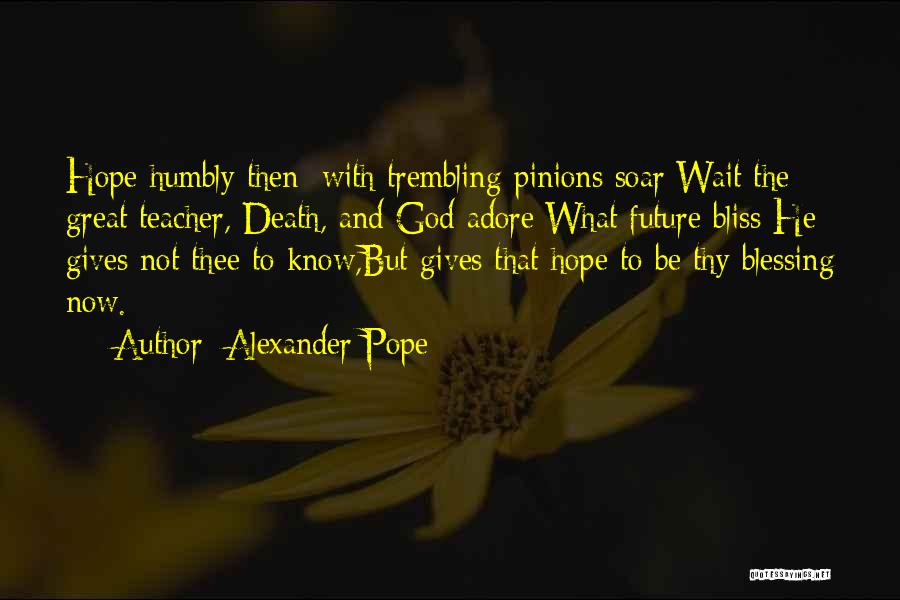 Wait Till Death Quotes By Alexander Pope