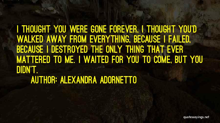 Waited For You Love Quotes By Alexandra Adornetto