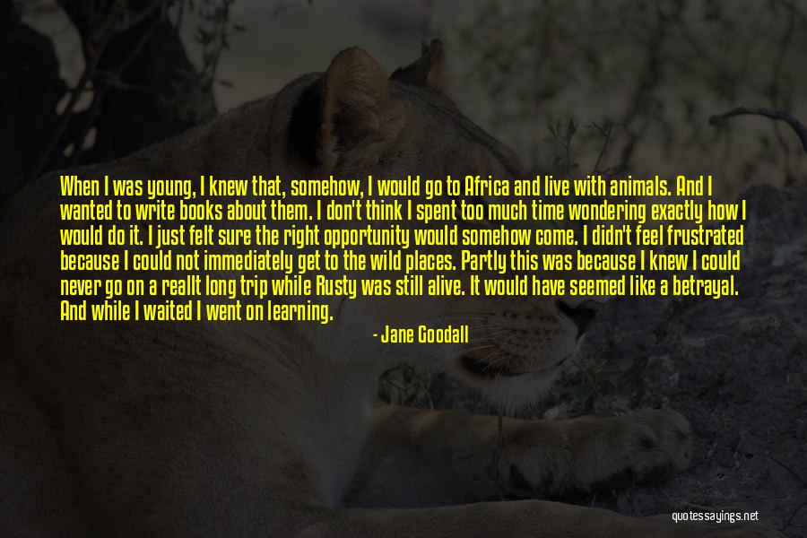 Waited Too Long Quotes By Jane Goodall Waited Too Long Quotes By Jane Goodall