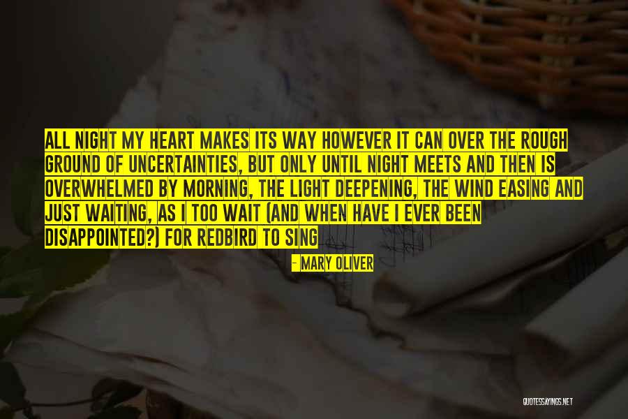 Waiting All Night Quotes By Mary Oliver Waiting All Night Quotes By Mary Oliver