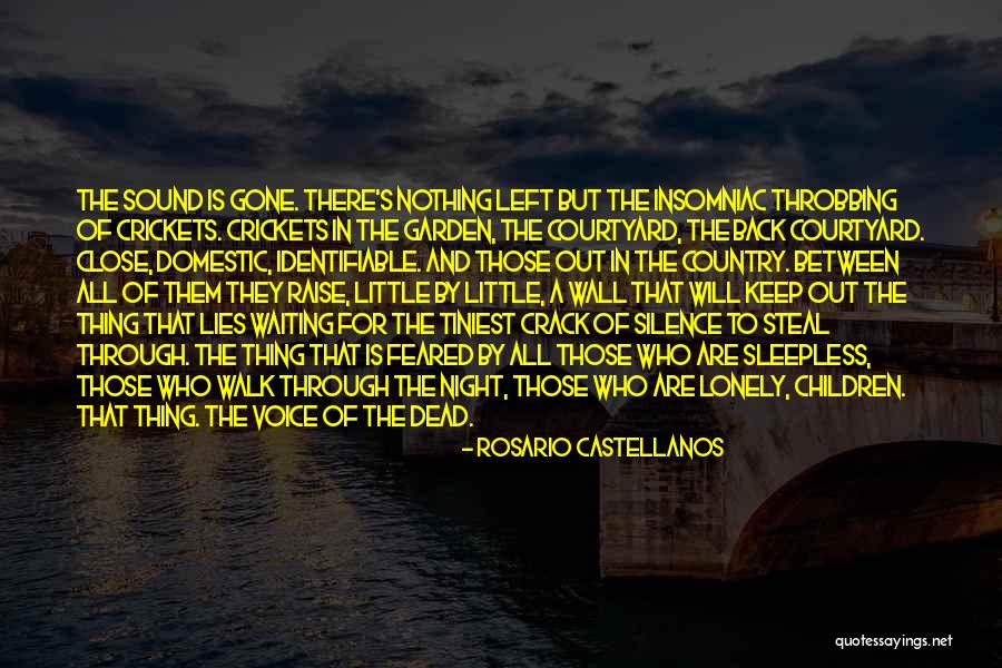 Waiting All Night Quotes By Rosario Castellanos Waiting All Night Quotes By Rosario Castellanos