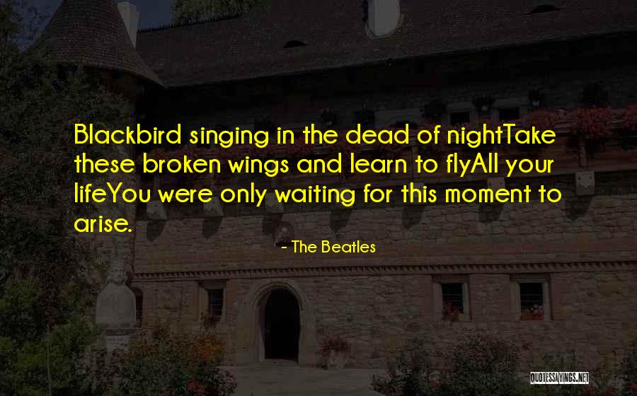 Waiting All Night Quotes By The Beatles Waiting All Night Quotes By The Beatles
