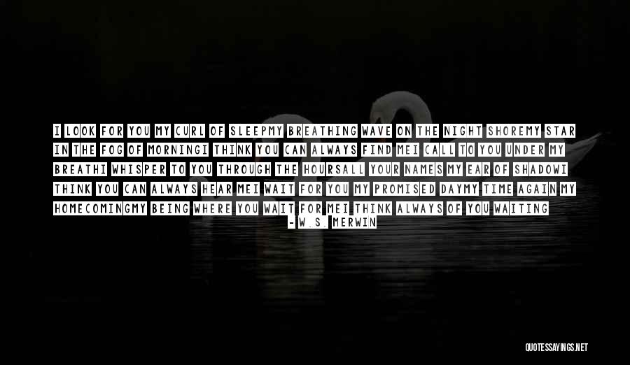 Waiting All Night Quotes By W.S. Merwin Waiting All Night Quotes By W.S. Merwin