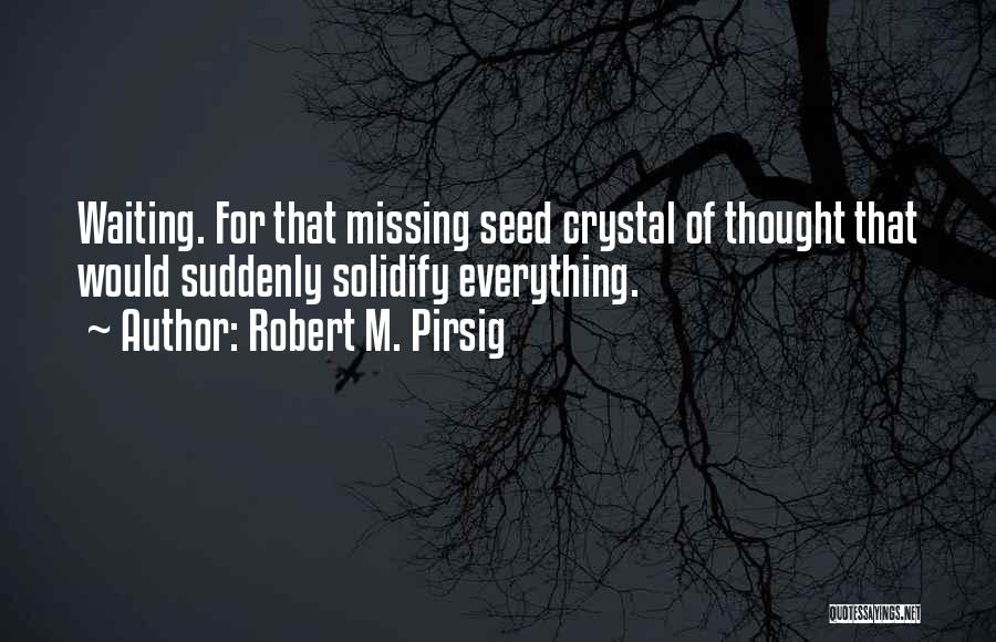 Waiting And Missing You Quotes By Robert M. Pirsig