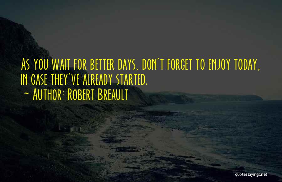 Waiting Better Days Quotes By Robert Breault