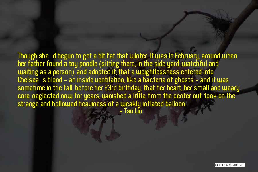 Waiting For My Birthday Quotes By Tao Lin Waiting For My Birthday Quotes By Tao Lin