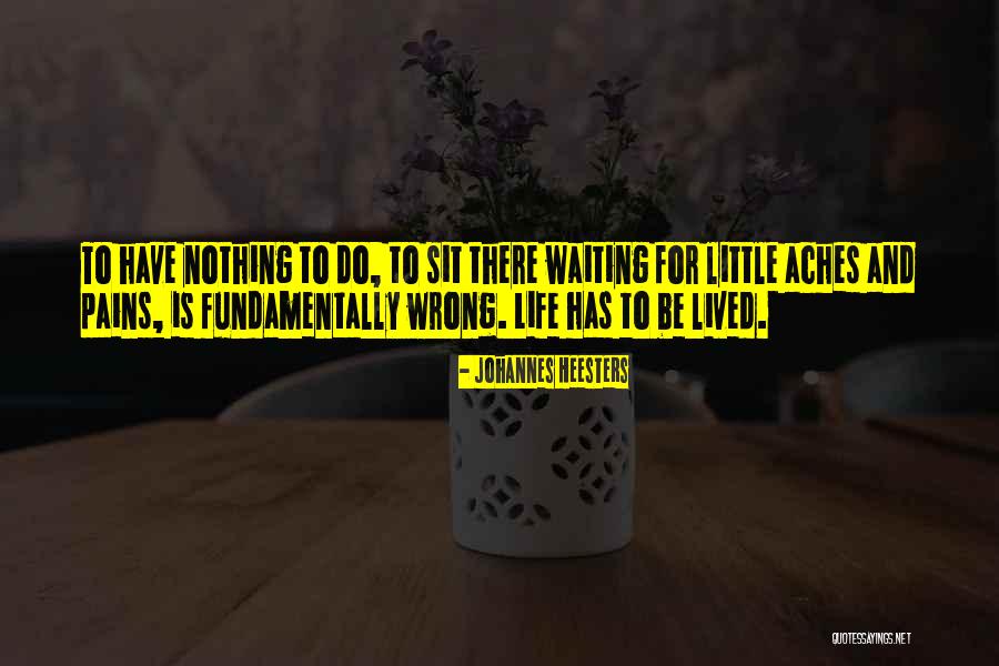 Waiting For Nothing Quotes By Johannes Heesters