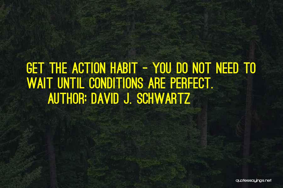 Waiting For Perfect Conditions Quotes By David J. Schwartz