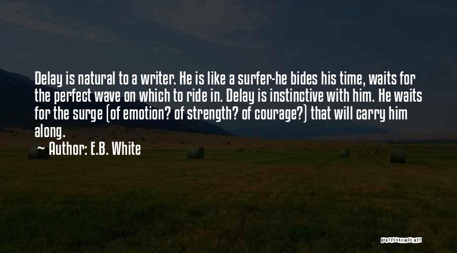 Waiting For Perfect Time Quotes By E.B. White