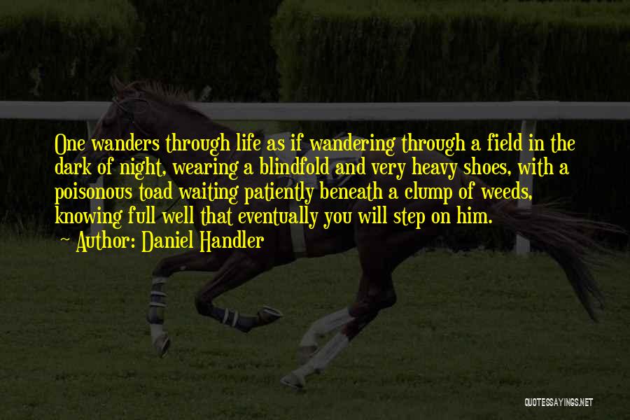 Waiting For Something Patiently Quotes By Daniel Handler