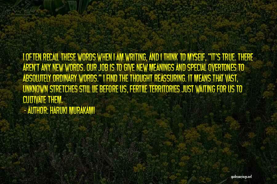 Waiting For Something Special Quotes By Haruki Murakami