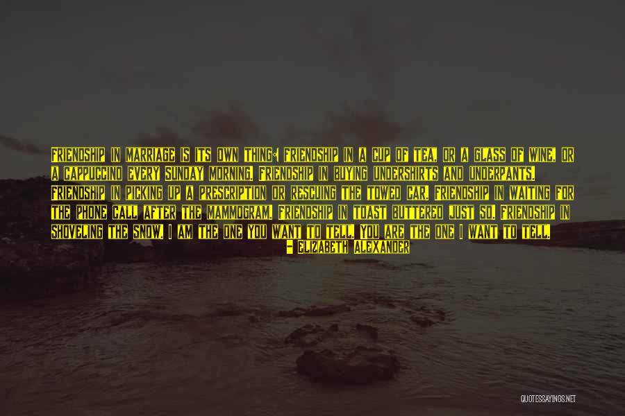 Waiting For Sunday Quotes By Elizabeth Alexander Waiting For Sunday Quotes By Elizabeth Alexander