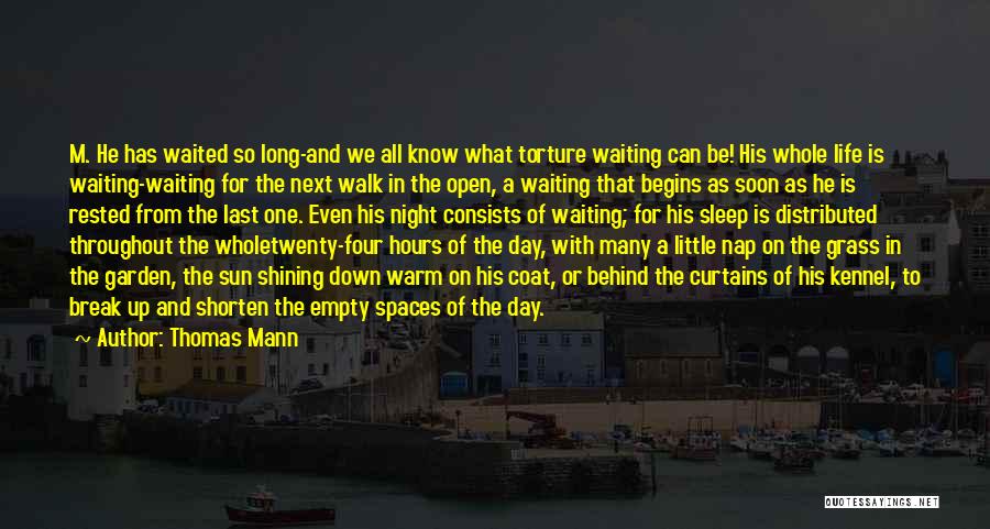 Waiting For That One Day Quotes By Thomas Mann