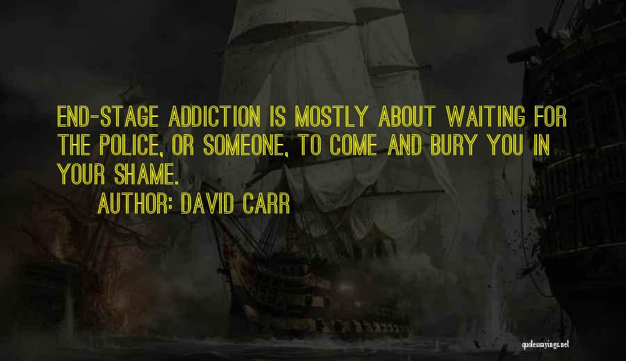 Waiting For The End Quotes By David Carr