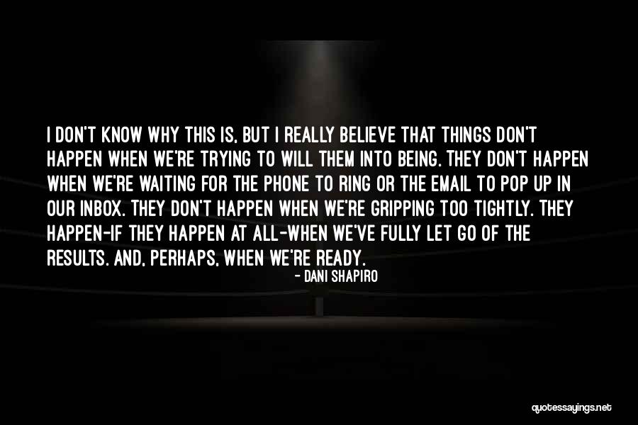 Waiting For Things To Happen Quotes By Dani Shapiro Waiting For Things To Happen Quotes By Dani Shapiro