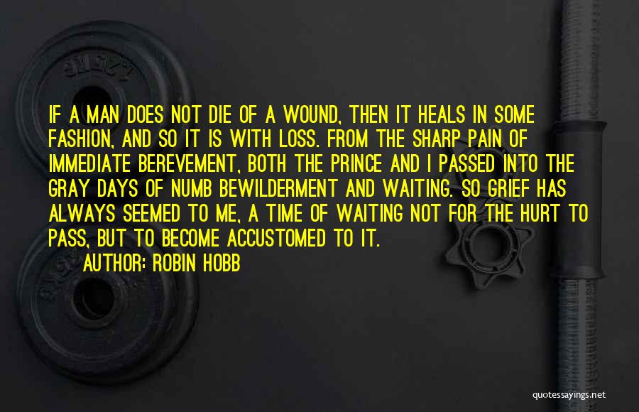 Waiting For Time To Pass Quotes By Robin Hobb