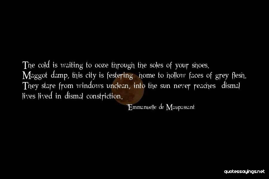 Waiting For You To Come Home Quotes By Emmanuelle De Maupassant