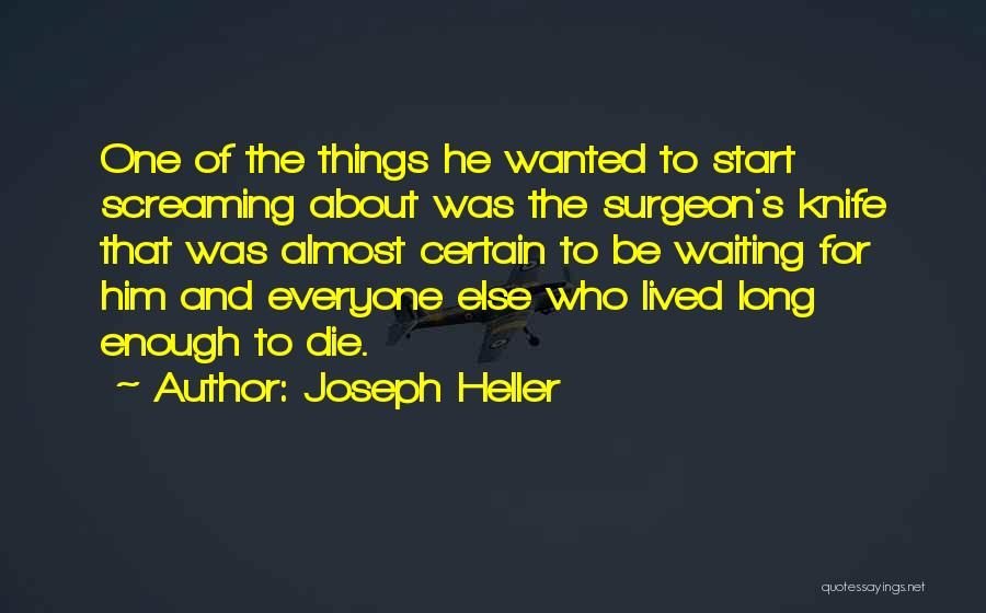 Waiting For You Too Long Quotes By Joseph Heller