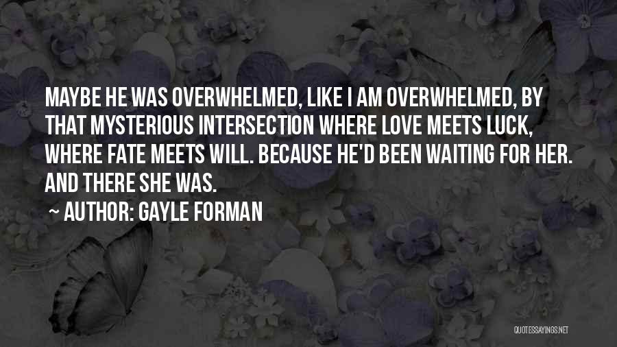 Waiting Happiness Quotes By Gayle Forman