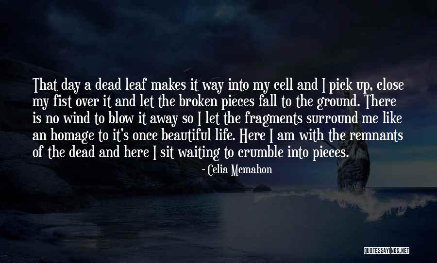 Waiting Is Over Quotes By Celia Mcmahon Waiting Is Over Quotes By Celia Mcmahon