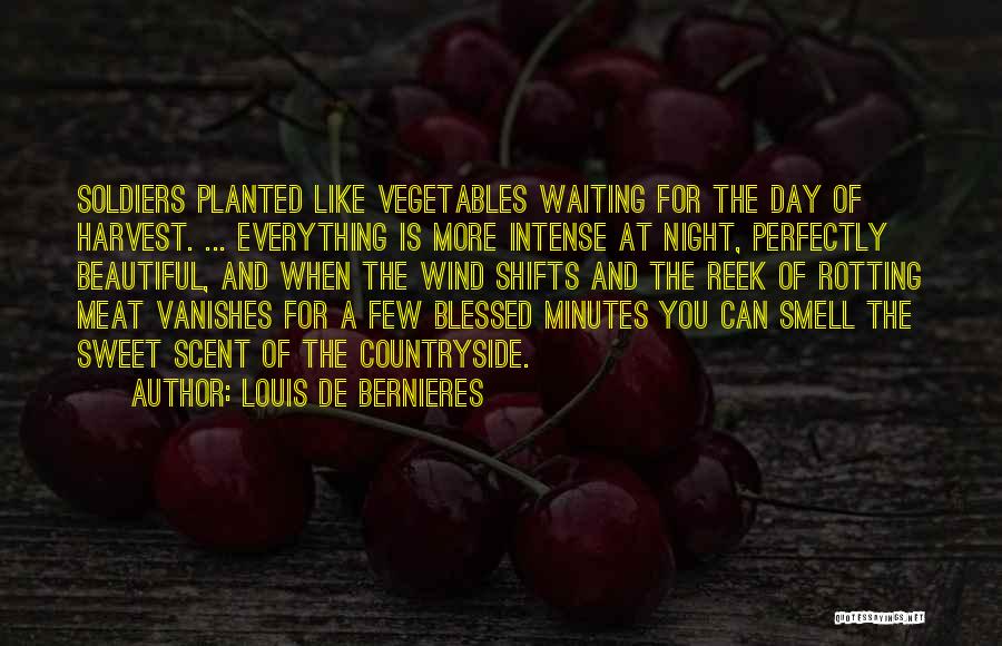 Waiting Is Sweet Quotes By Louis De Bernieres