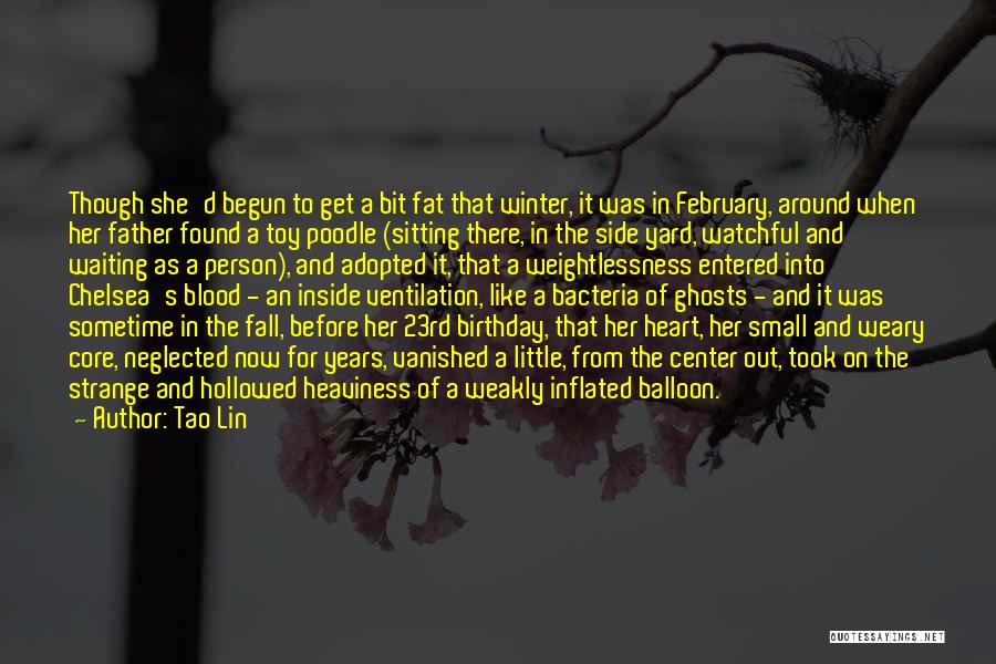 Waiting My Birthday Quotes By Tao Lin