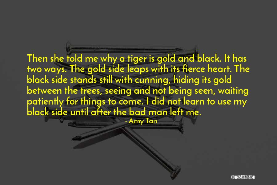 Waiting Patiently Quotes By Amy Tan Waiting Patiently Quotes By Amy Tan