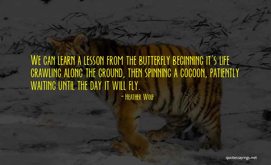 Waiting Patiently Quotes By Heather Wolf Waiting Patiently Quotes By Heather Wolf