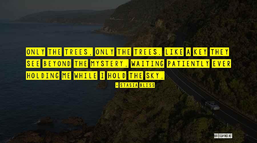 Waiting Patiently Quotes By Stasia Bliss Waiting Patiently Quotes By Stasia Bliss