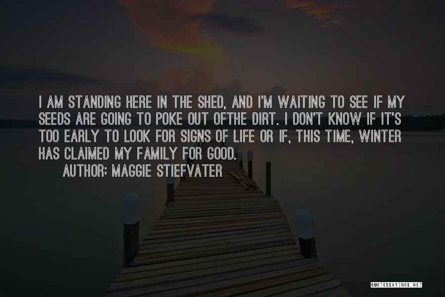 Waiting Shed Quotes By Maggie Stiefvater