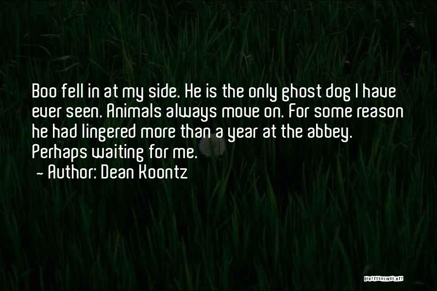 Waiting T Dog Quotes By Dean Koontz