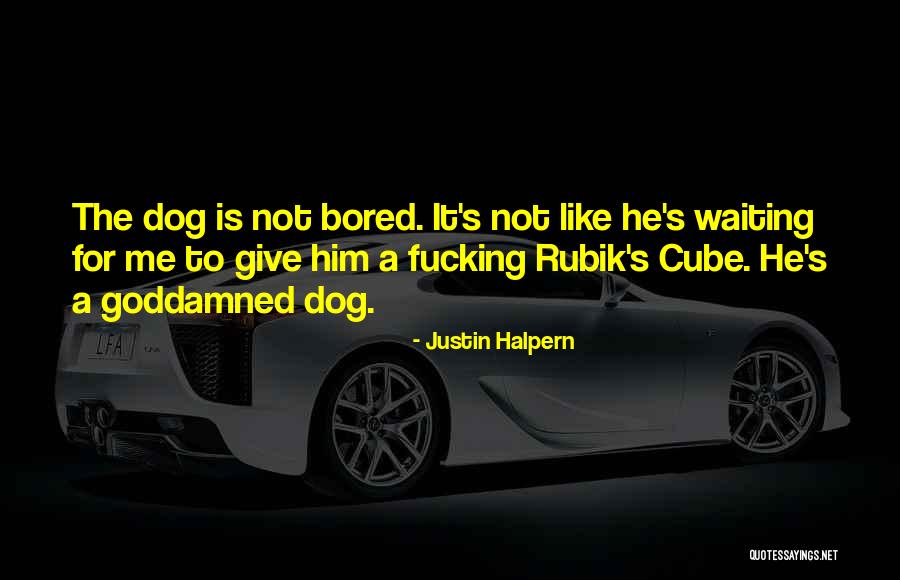 Waiting T Dog Quotes By Justin Halpern