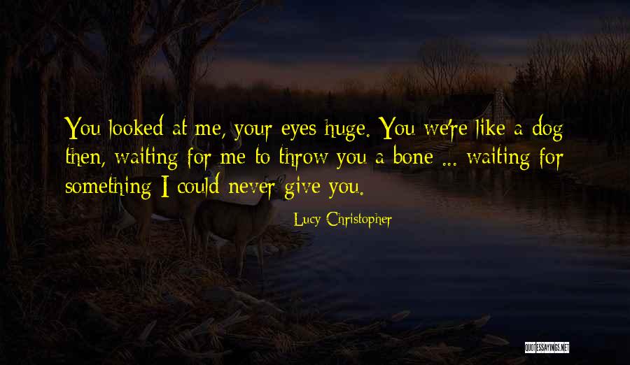 Waiting T Dog Quotes By Lucy Christopher