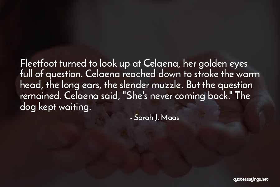 Waiting T Dog Quotes By Sarah J. Maas