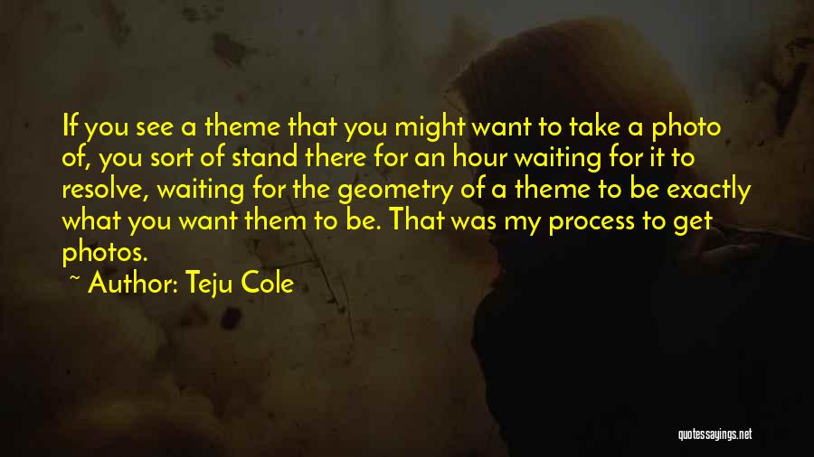 Waiting To Get What You Want Quotes By Teju Cole