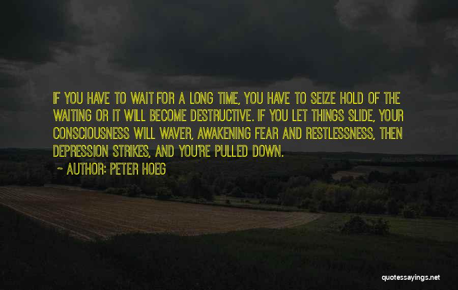 Waiting To Hold You Quotes By Peter Hoeg