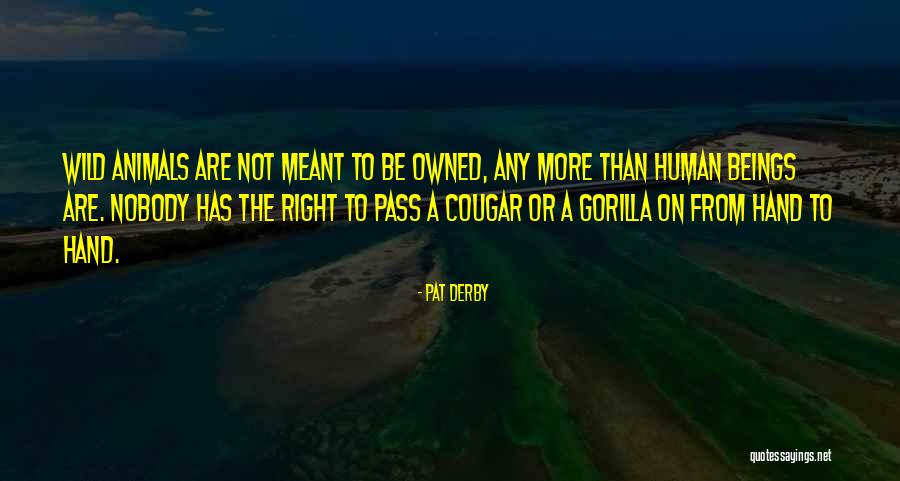 Waiting To Lose Weight Quotes By Pat Derby Waiting To Lose Weight Quotes By Pat Derby