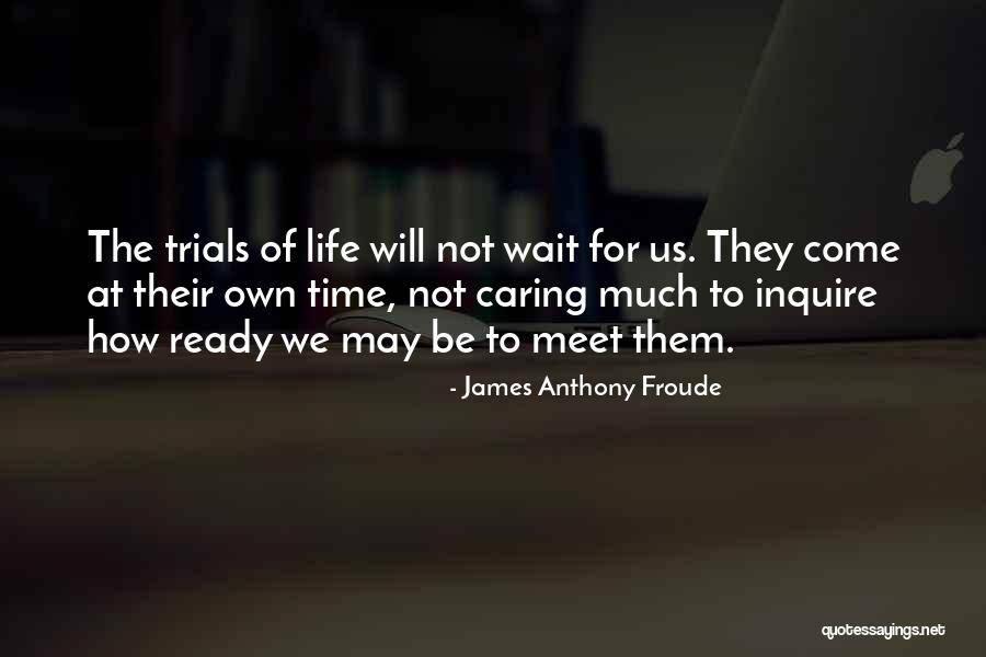 Waiting To Meet Someone Quotes By James Anthony Froude