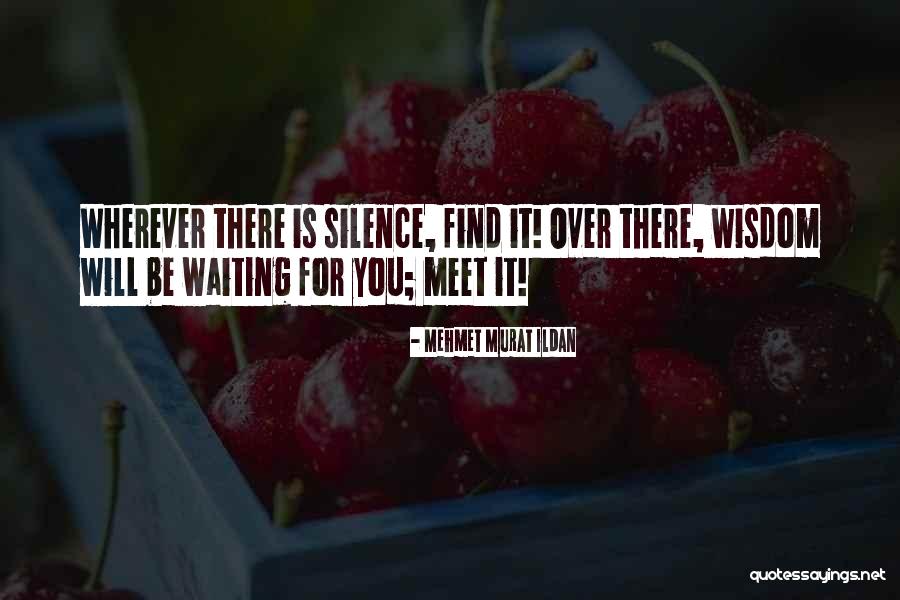 Waiting To Meet Someone Quotes By Mehmet Murat Ildan