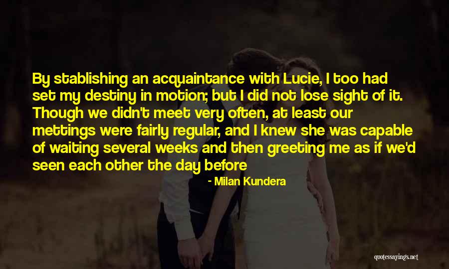 Waiting To Meet Someone Quotes By Milan Kundera