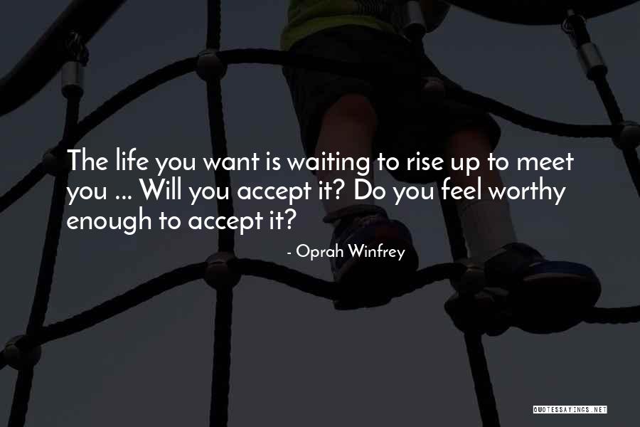 Waiting To Meet Someone Quotes By Oprah Winfrey