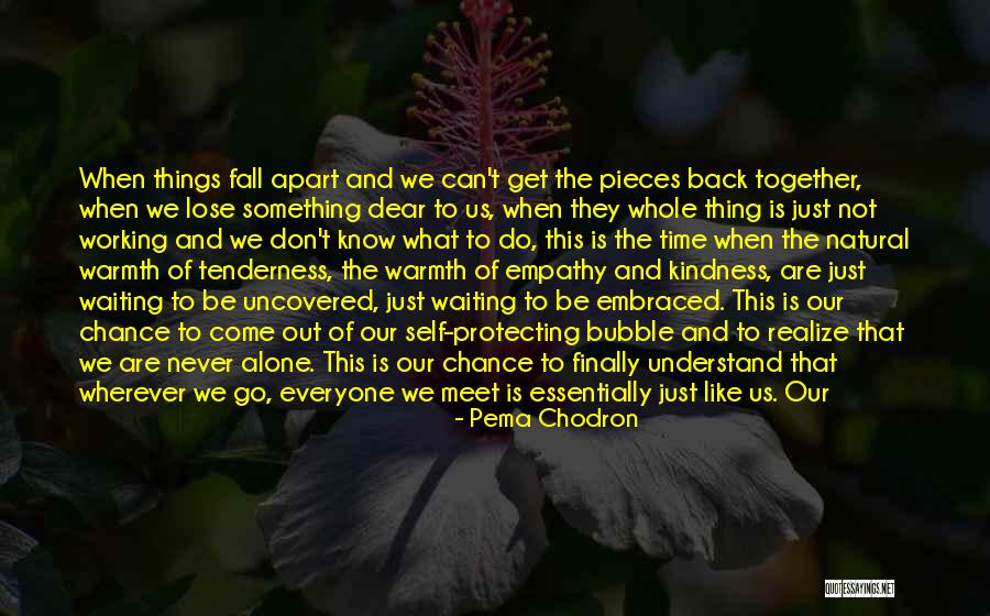 Waiting To Meet Someone Quotes By Pema Chodron