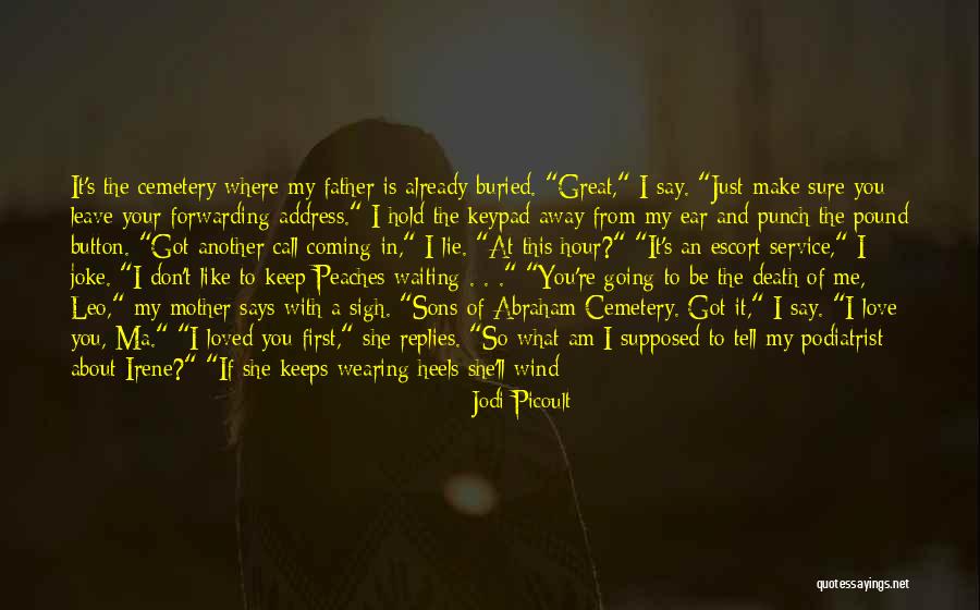 Waiting To Say I Love You Quotes By Jodi Picoult